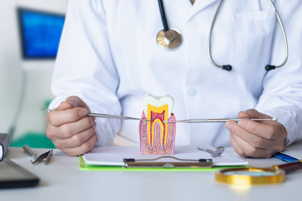 Best Emergency Denture Repair in Lake Barrington, IL